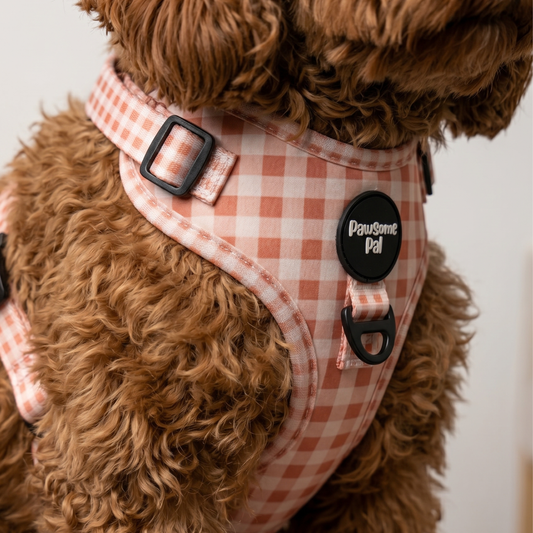 Peach Gingham Dog Harness