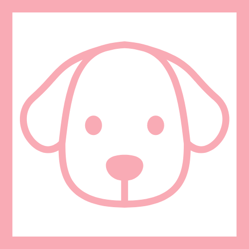 Portrait Preview