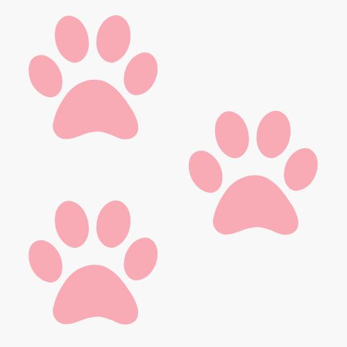 Number of Pets