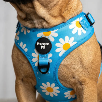 Blue Daisy Dog Harness
