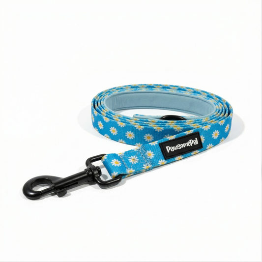 Blue Daisy Dog Leash