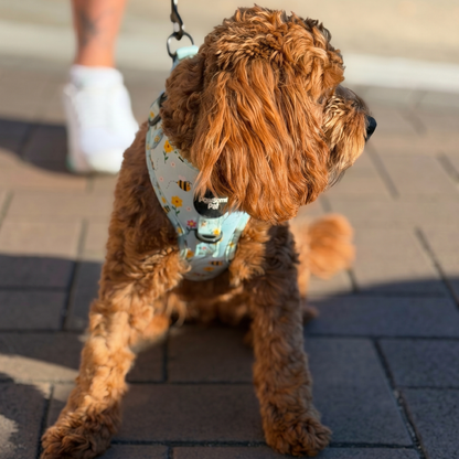 Bee Garden Dog Harness