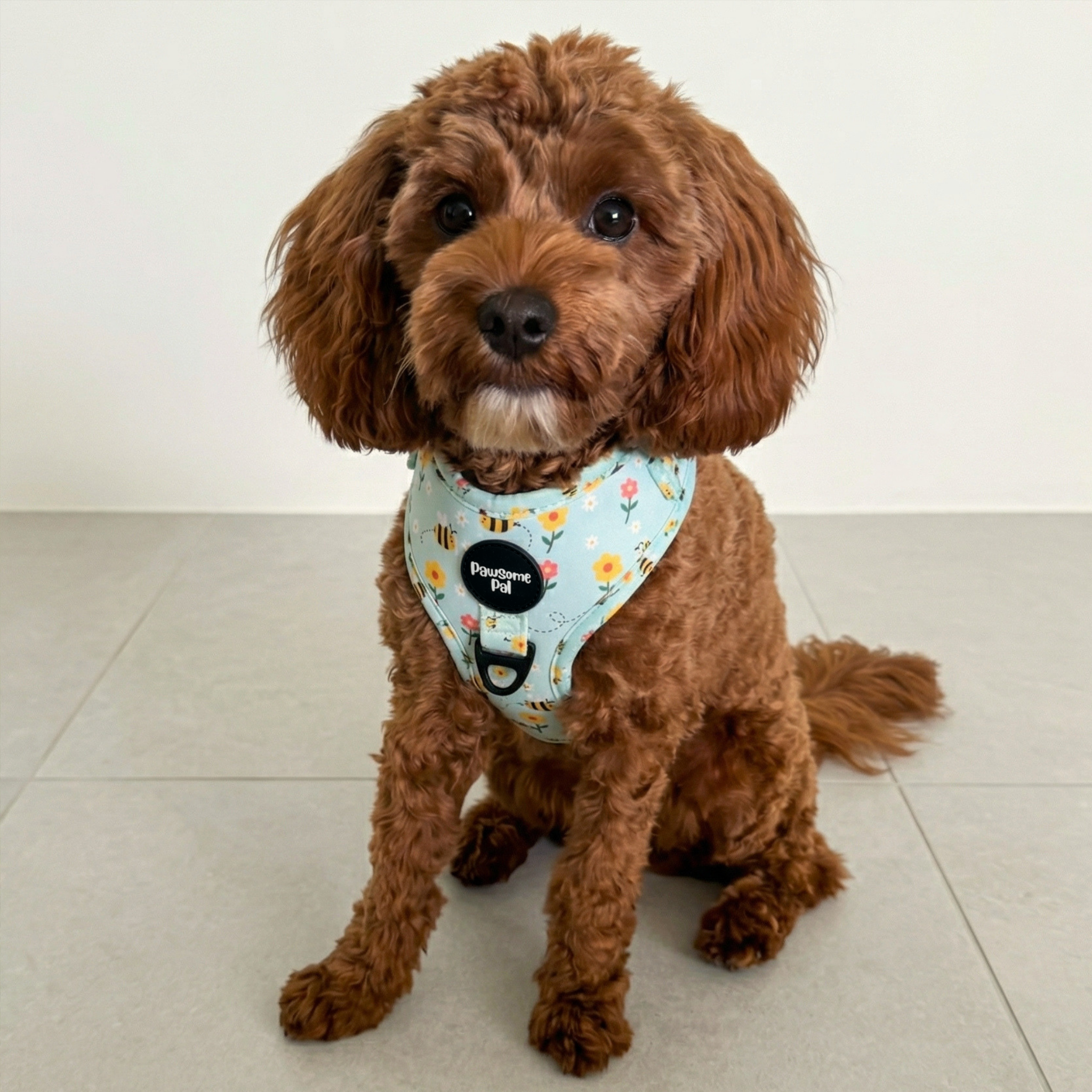 Bee Garden Dog Harness