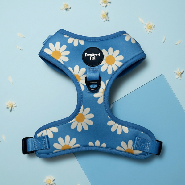 Blue Daisy Dog Harness