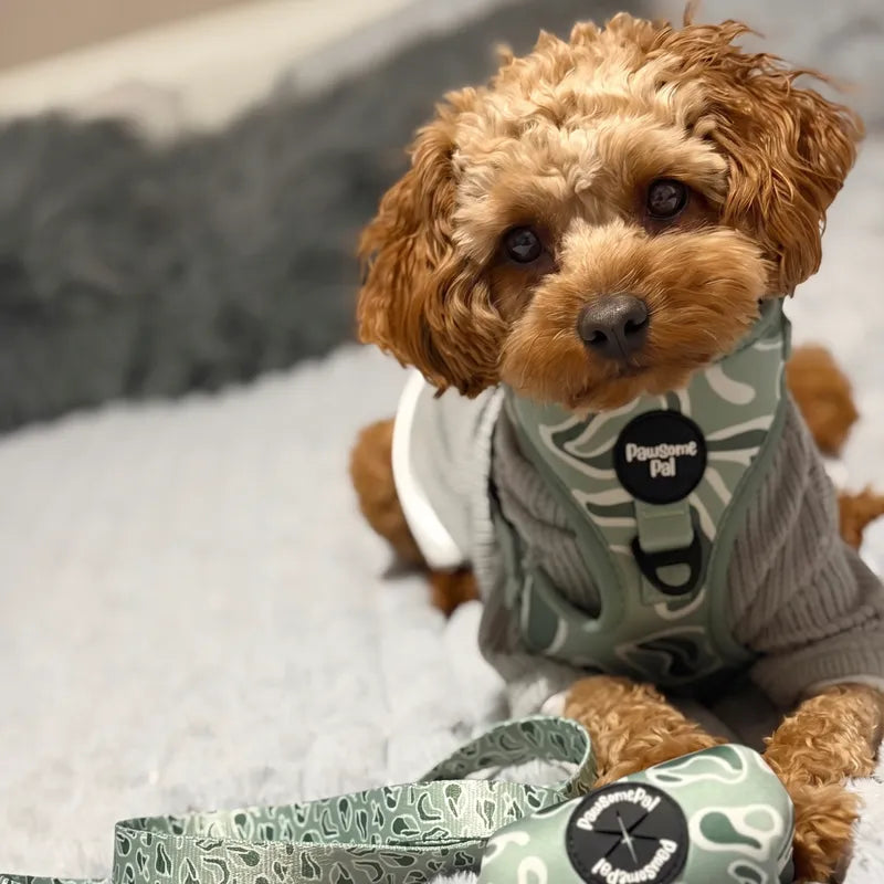 Sage Wave Dog Harness