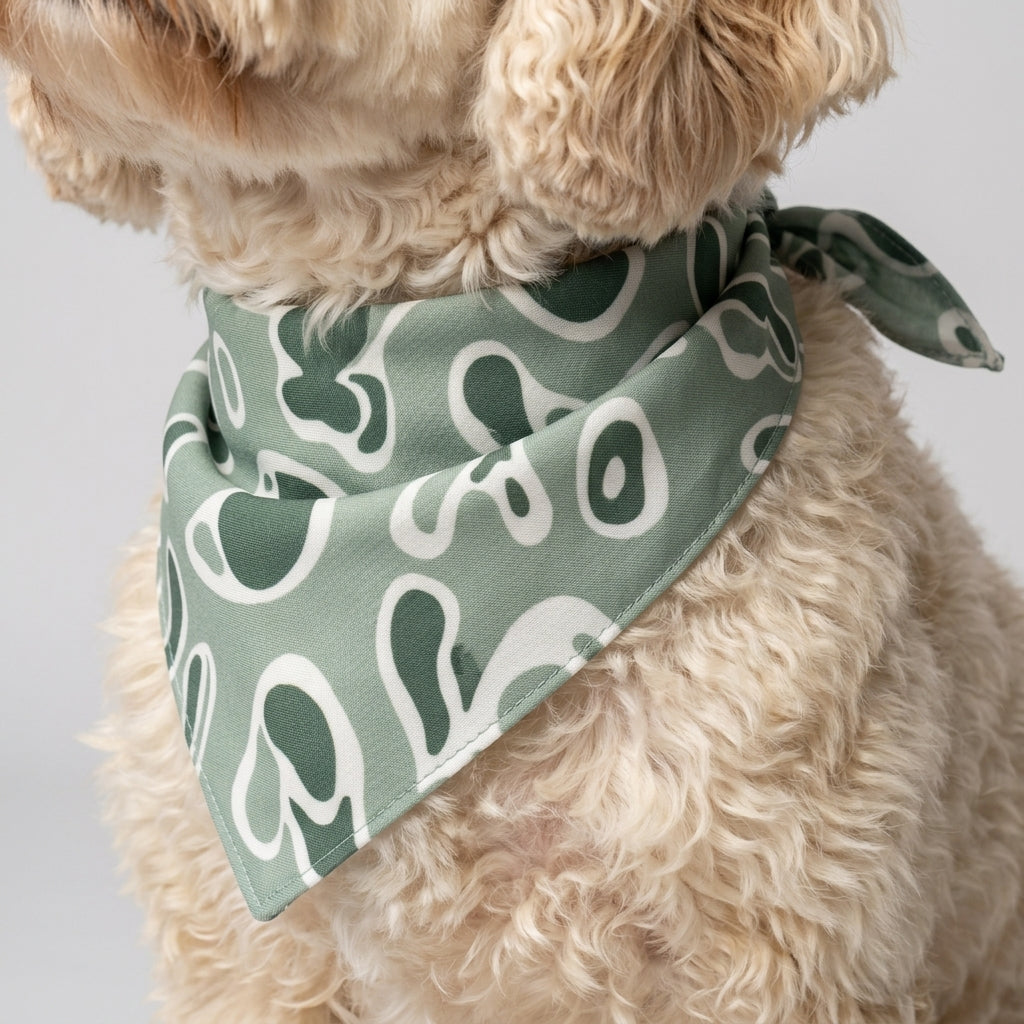 Matching Bandana