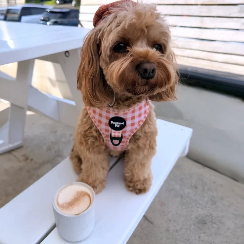 Peach Gingham Dog Harness