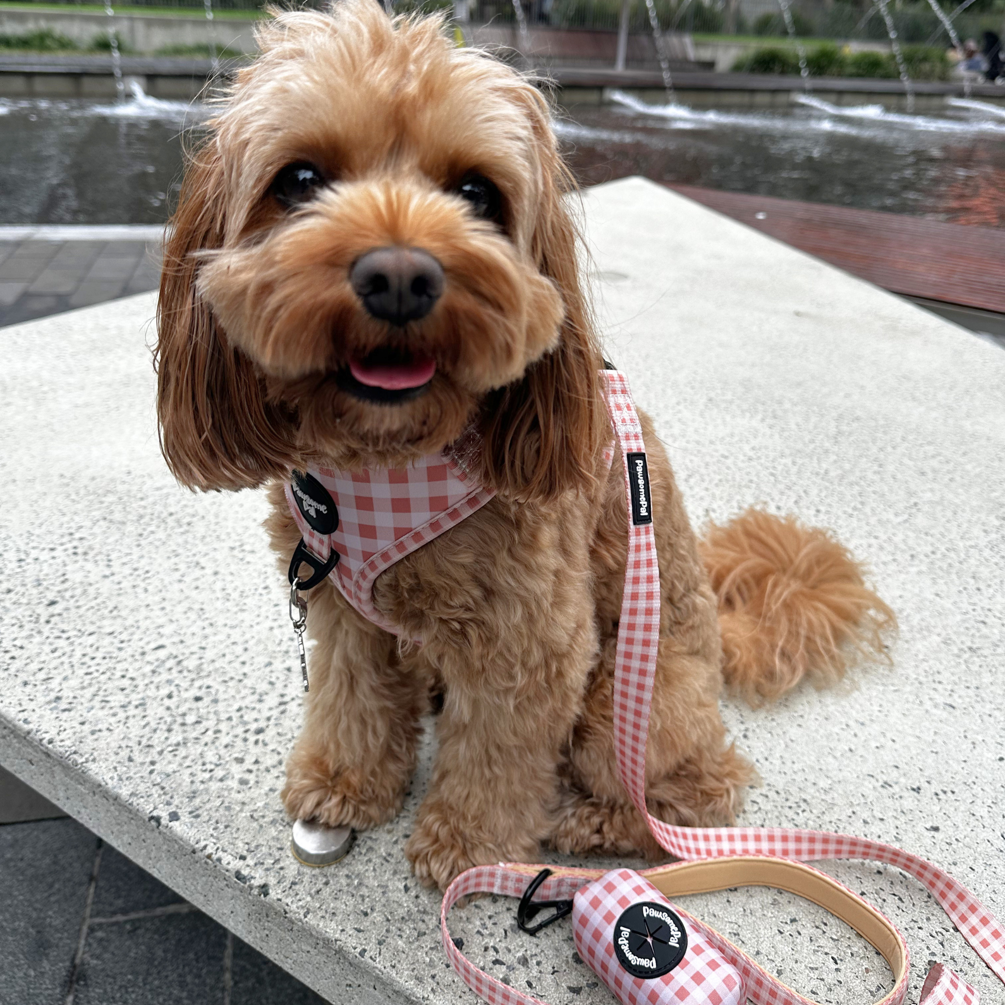 Peach Gingham Dog Harness