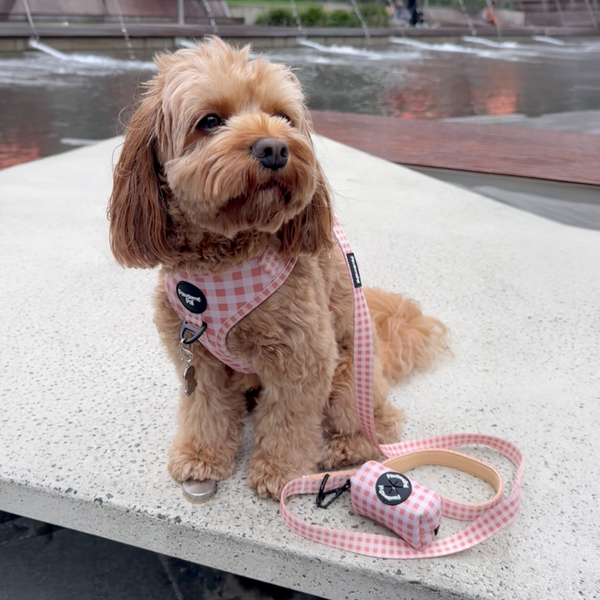 Peach Gingham Dog Harness
