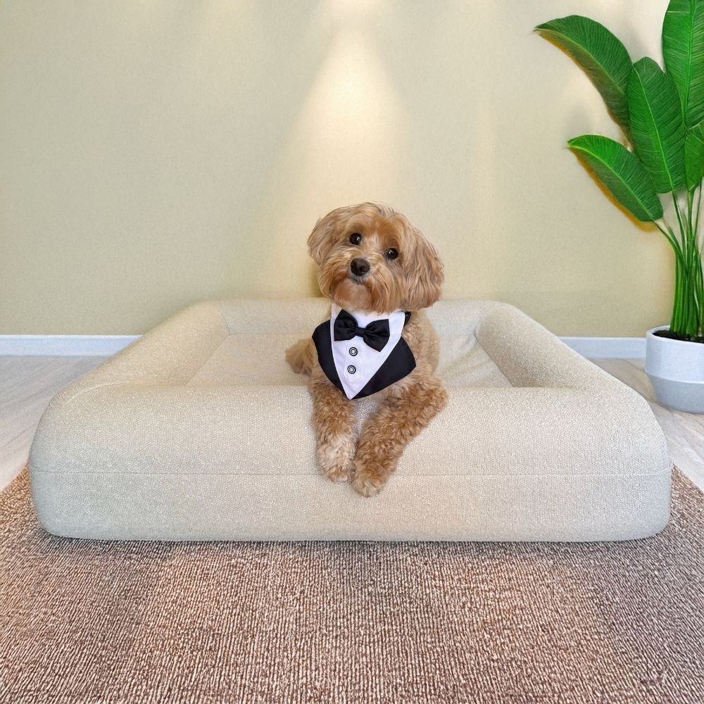 Premium Boucle Dog Bed