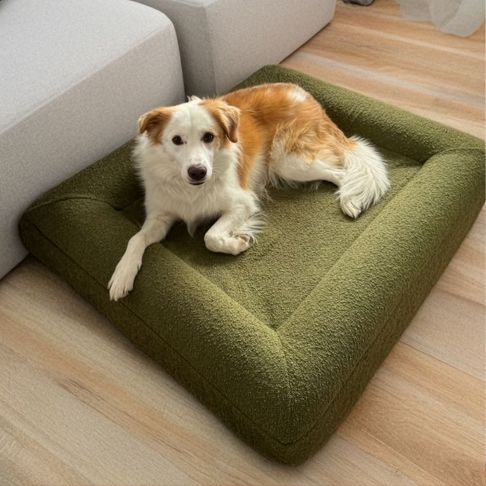 Premium Boucle Dog Bed