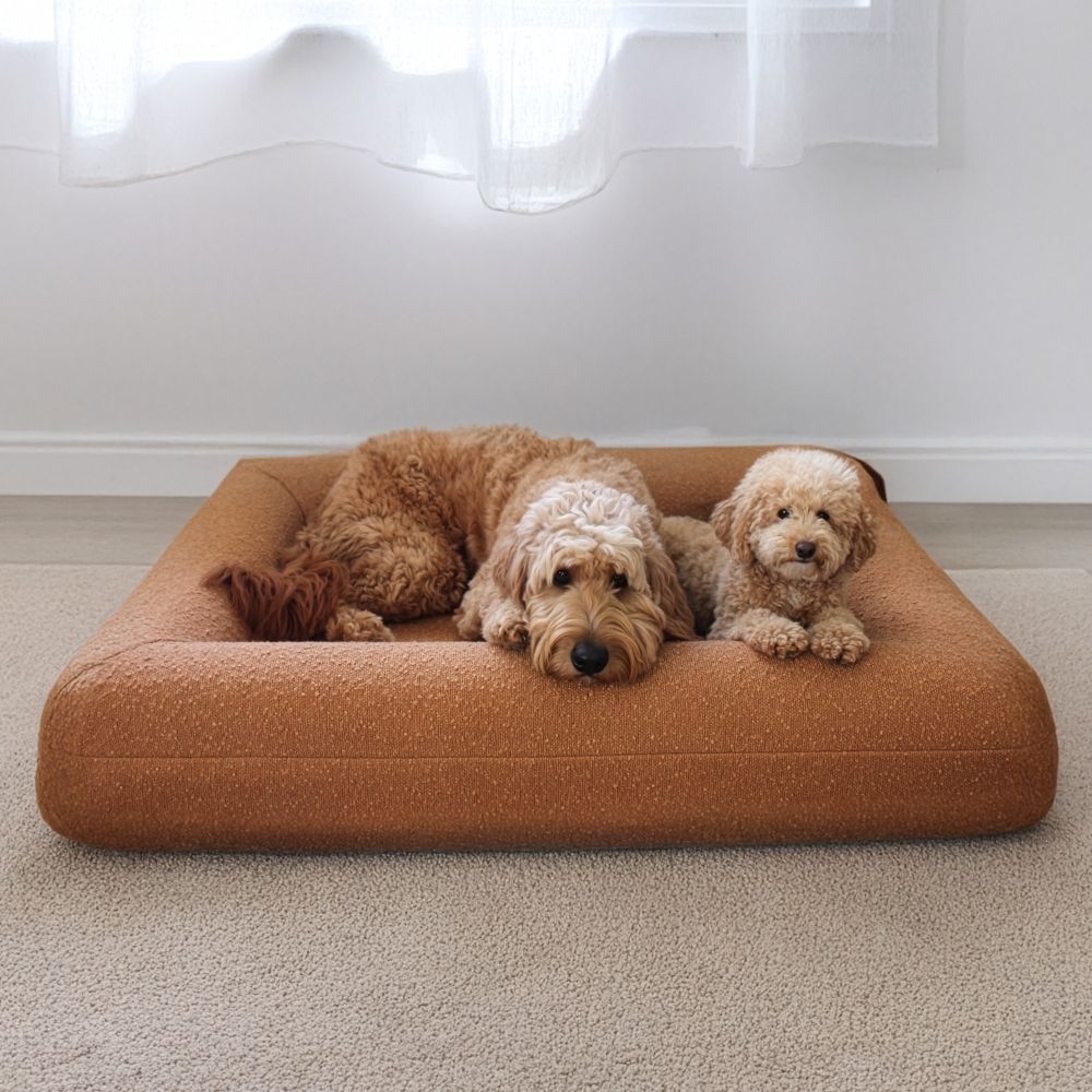 Premium Boucle Dog Bed
