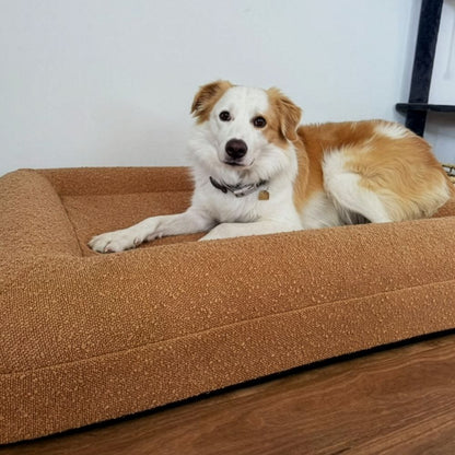 Premium Boucle Dog Bed