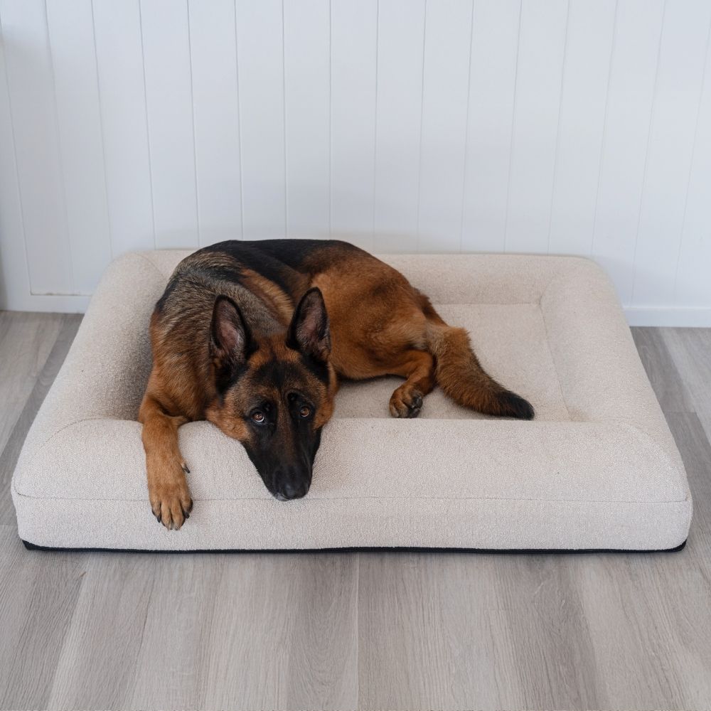 Premium Boucle Dog Bed