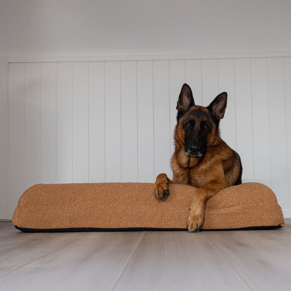 Premium Boucle Dog Bed