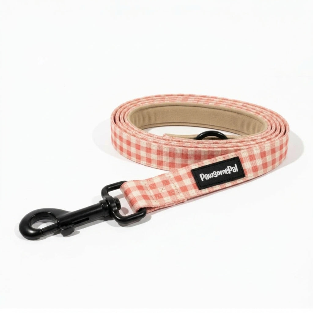 Peach Gingham Dog Leash