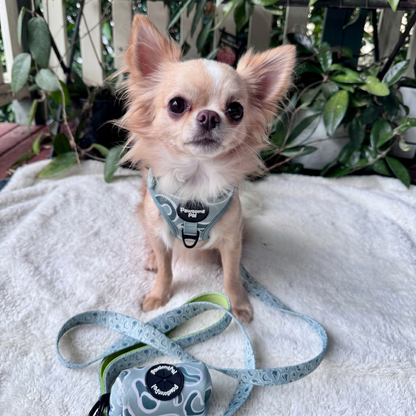 Sage Wave Dog Harness