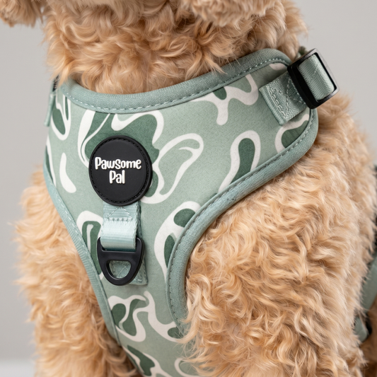 Sage Wave Dog Harness