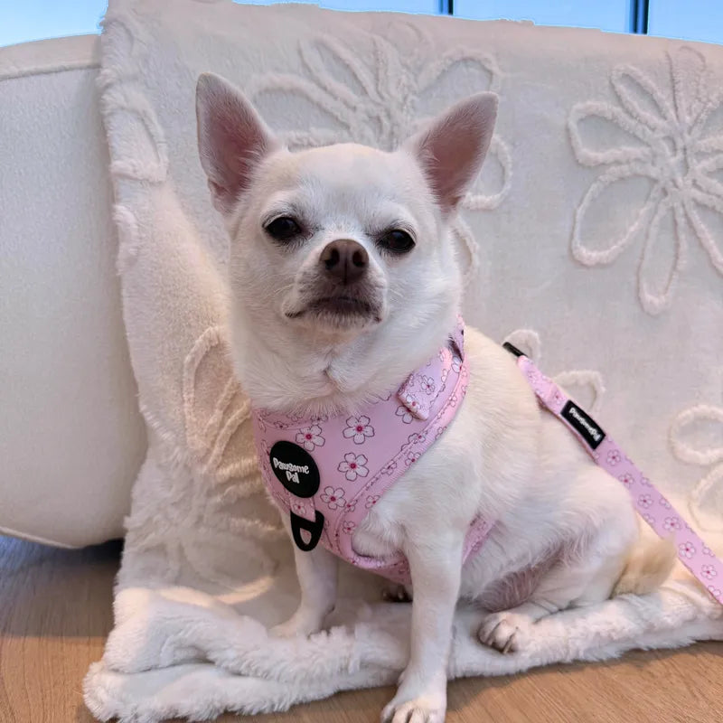 Cherry Blossom Dog Harness