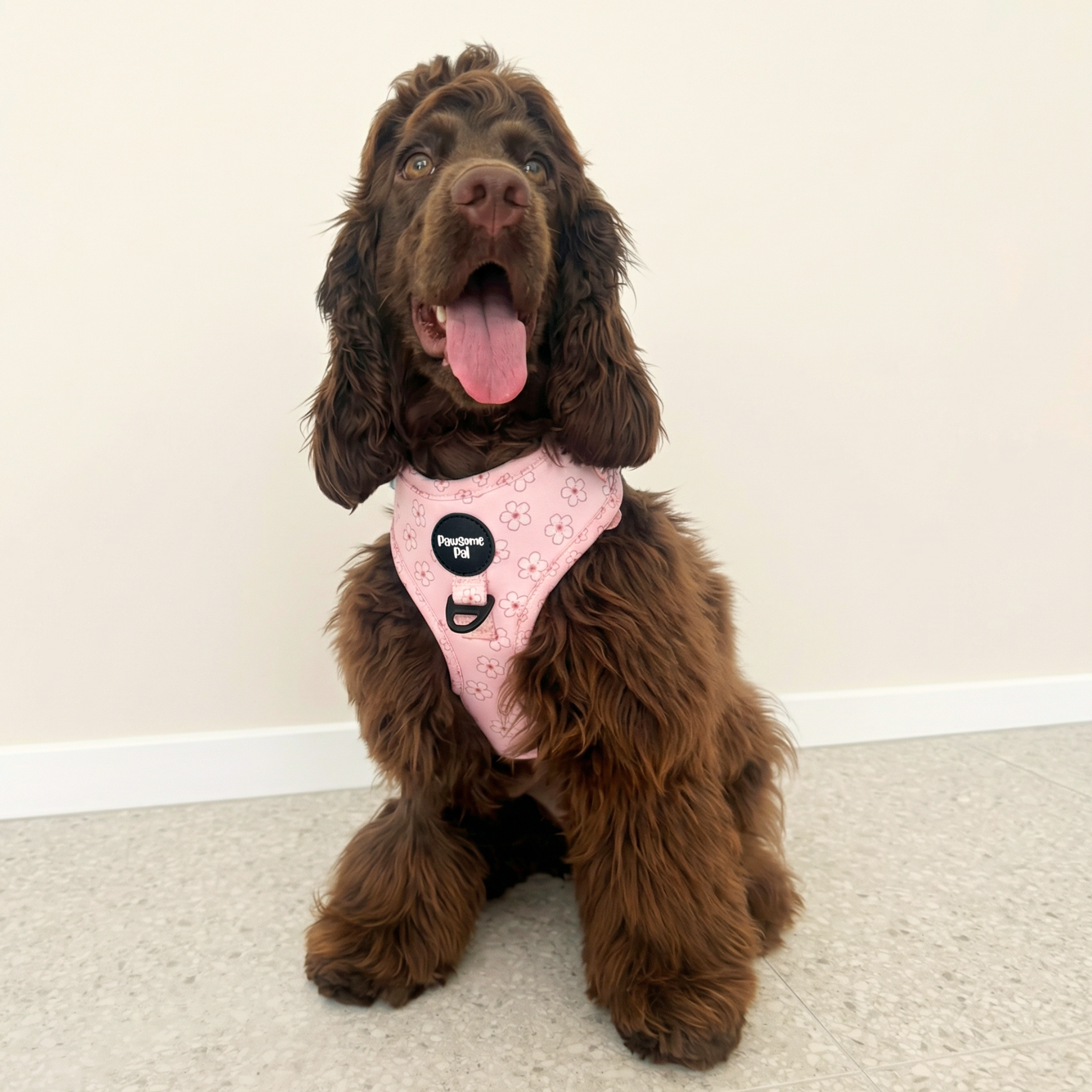 Cherry Blossom Dog Harness
