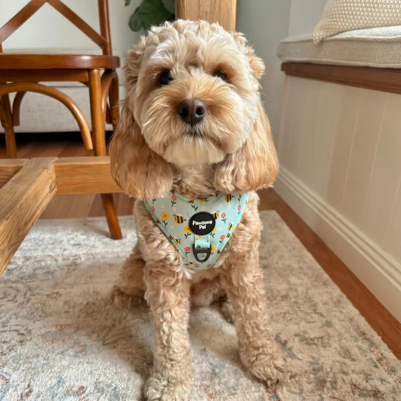 Bee Garden Dog Harness
