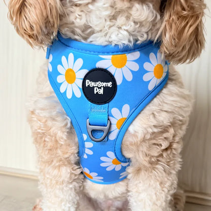 Blue Daisy Dog Harness