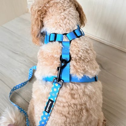 Blue Daisy Dog Harness