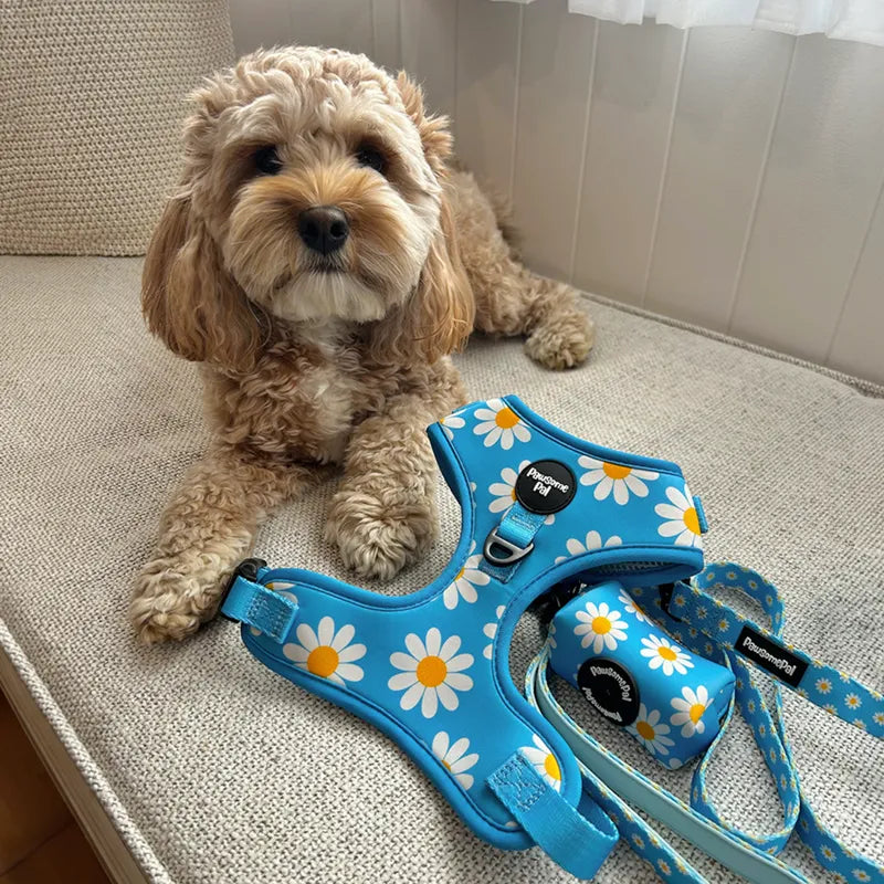 Blue Daisy Dog Harness