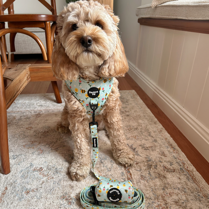 Bee Garden Dog Harness